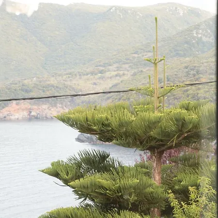 Dream 乡村民宿 *